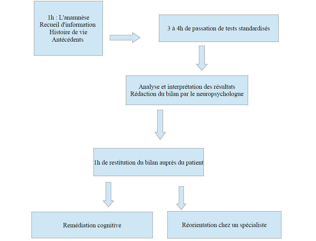 Schéma bilan neuropsychologique